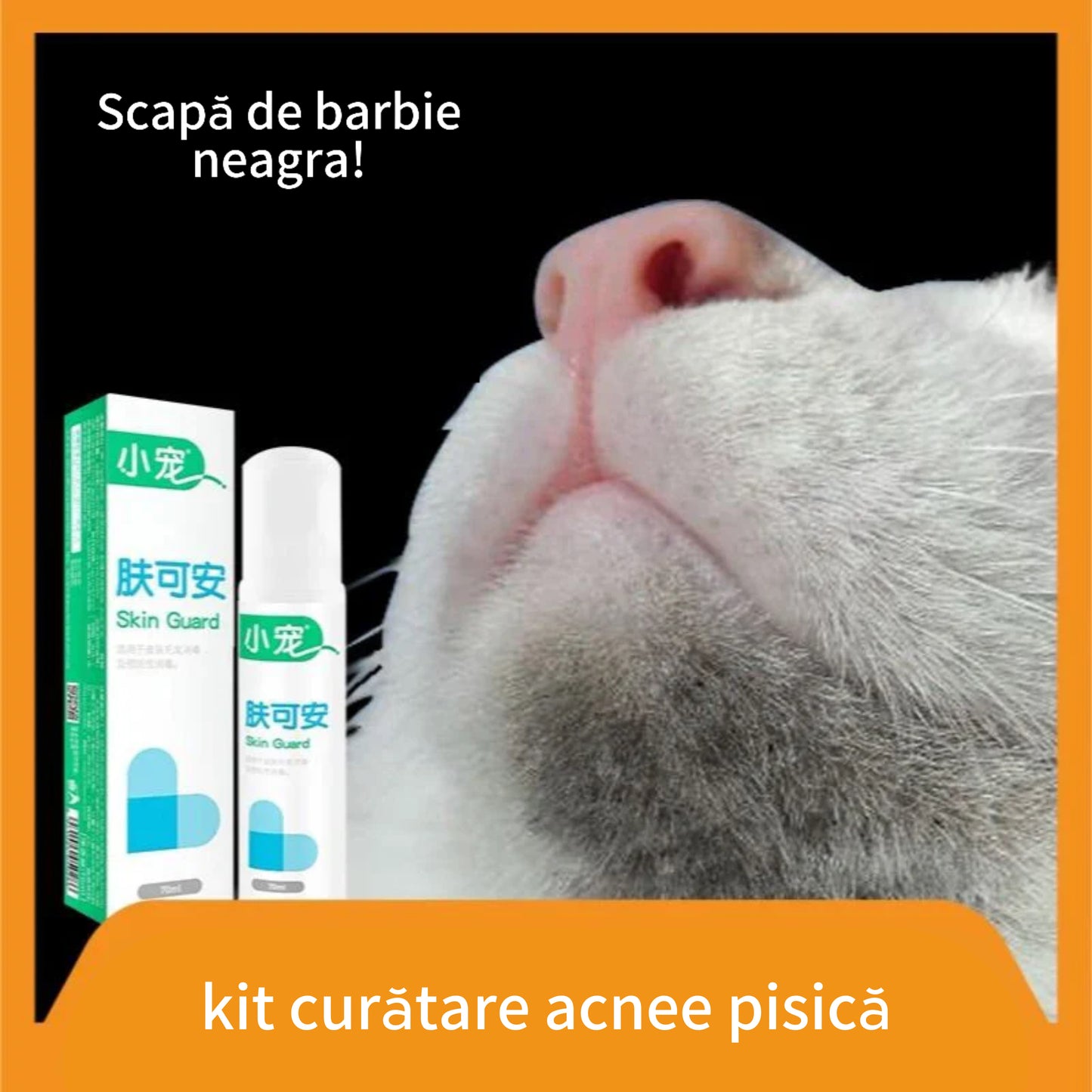 kit curățare acnee pisică