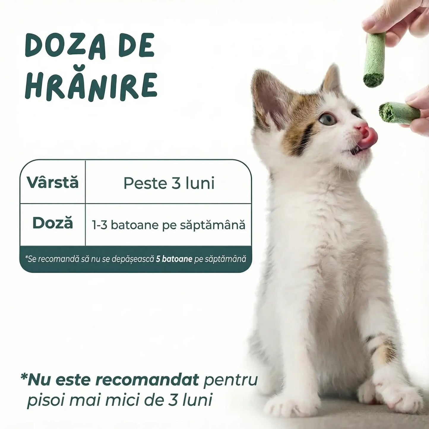 Baton de catnip pentru mestecat nutritiv și delicios