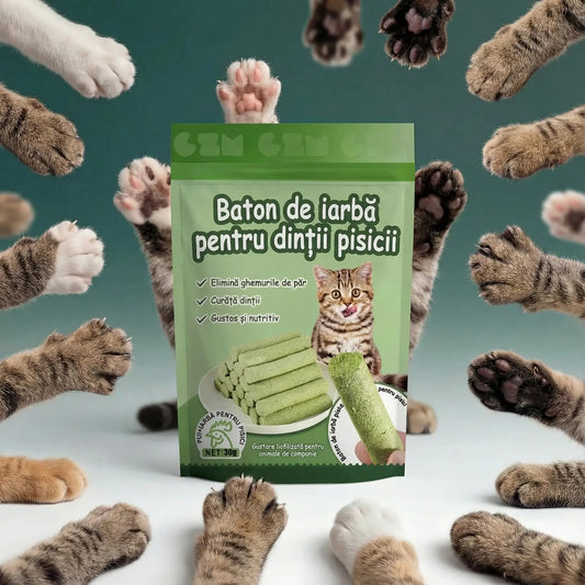 Baton de catnip pentru mestecat nutritiv și delicios